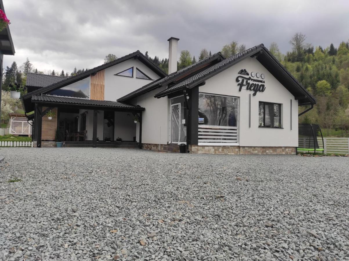 Pensiunea Freya Colibita Exterior photo